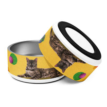Load image into Gallery viewer, BENGAL CAT Pet Bowl - Premium Pet Bowl from The Wishful Fish - Just $37! Shop now at The Wishful Fish