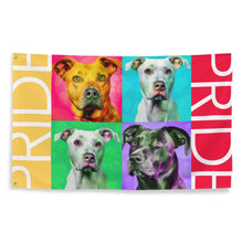 Load image into Gallery viewer, COLORFUL PRIDE Flag - Premium Flag from The Wishful Fish - Just $38! Shop now at The Wishful Fish