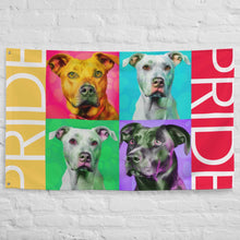 Load image into Gallery viewer, COLORFUL PRIDE Flag - Premium Flag from The Wishful Fish - Just $38! Shop now at The Wishful Fish