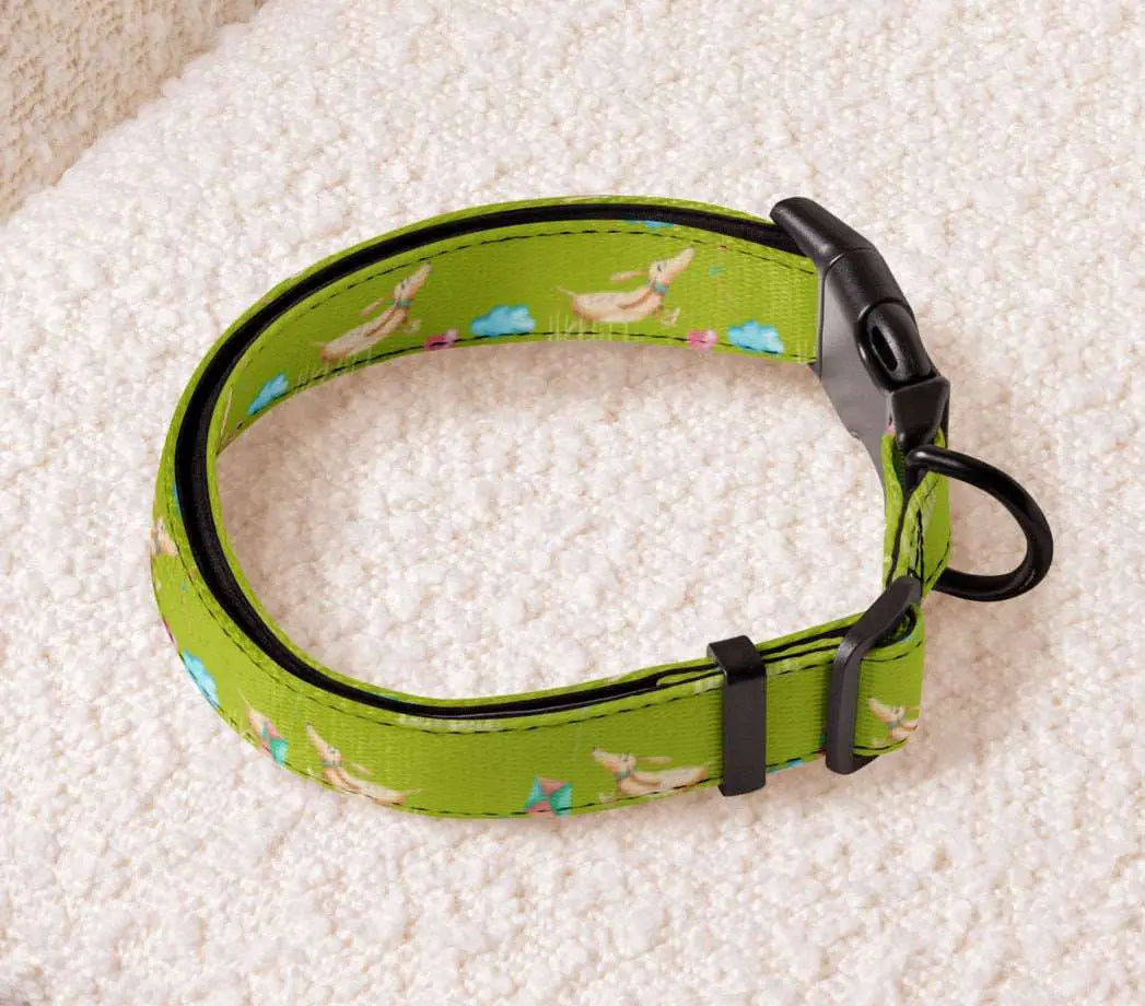 FUN DOGS Pet Collar - Premium Pet Collar from The Wishful Fish - Just $21! Shop now at The Wishful Fish