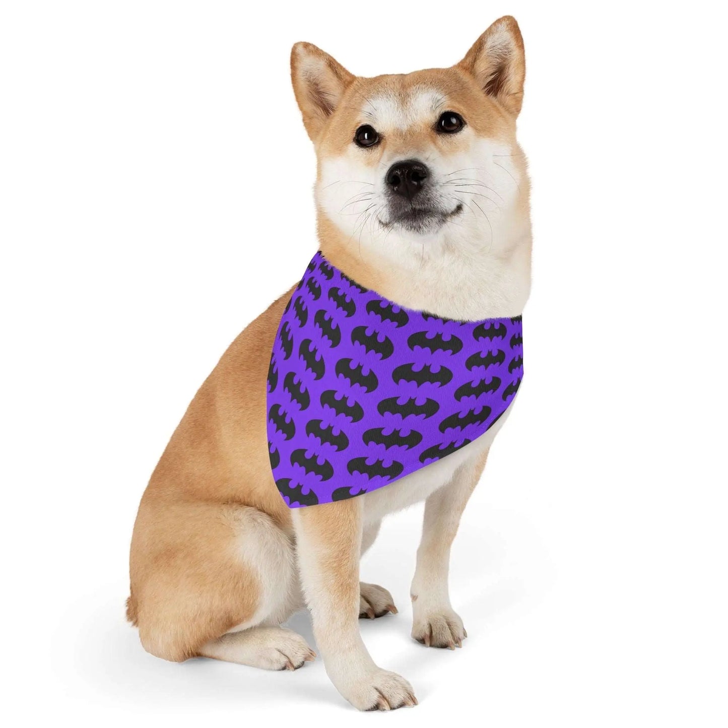 HALLOWEEN BAT Pet Bandana Collar - Premium Bandana Collar from The Wishful Fish - Just $28! Shop now at The Wishful Fish