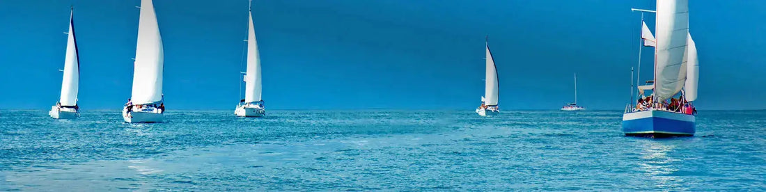 Watch Hill, Rhode Island Traditions: Carousel, Beaches and Village Life | The Wishful Fish