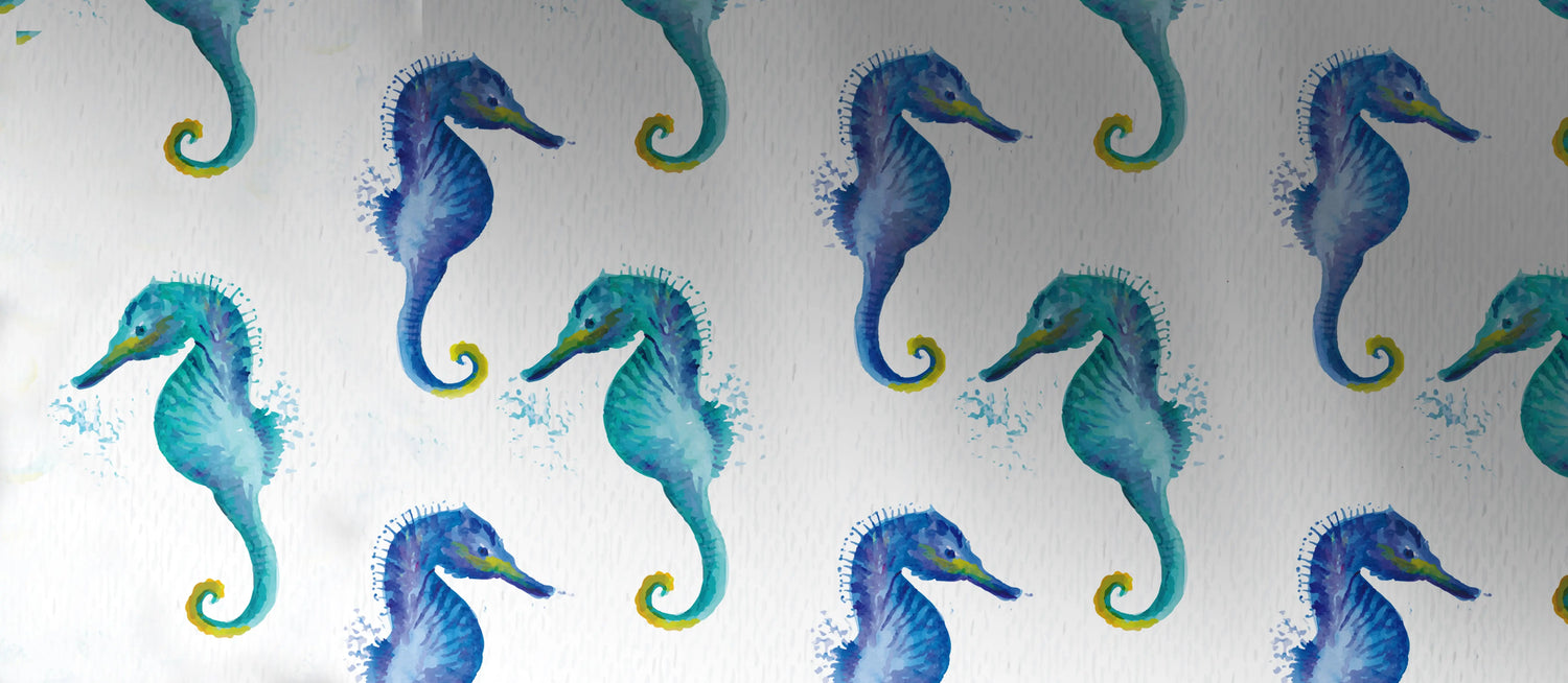 Seahorse Collection | The Wishful Fish