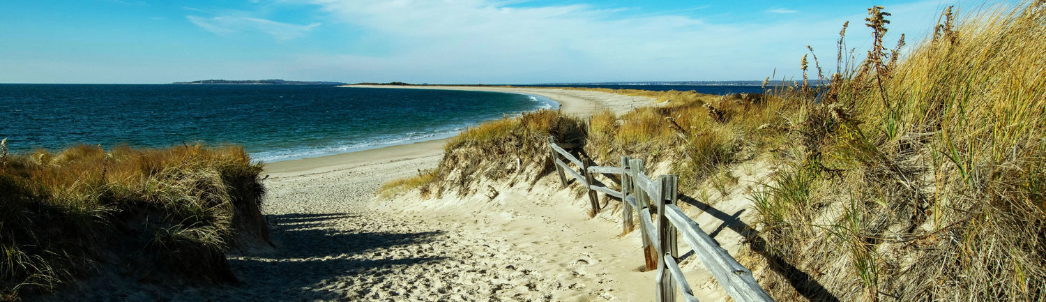 WATCHILL'N COLLECTION — Coastal Style Inspired by a Rhode Island Icon | SHOP Now The Wishful Fish