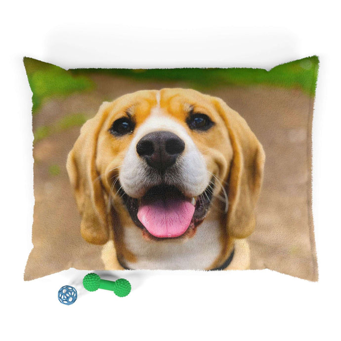 BEAGLE Pet Pillow Bed - Premium Pillow Bed from The Wishful Fish - Just $46! Shop now at The Wishful Fish