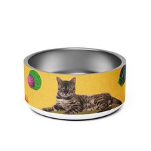 Load image into Gallery viewer, BENGAL CAT Pet Bowl - Premium Pet Bowl from The Wishful Fish - Just $37! Shop now at The Wishful Fish
