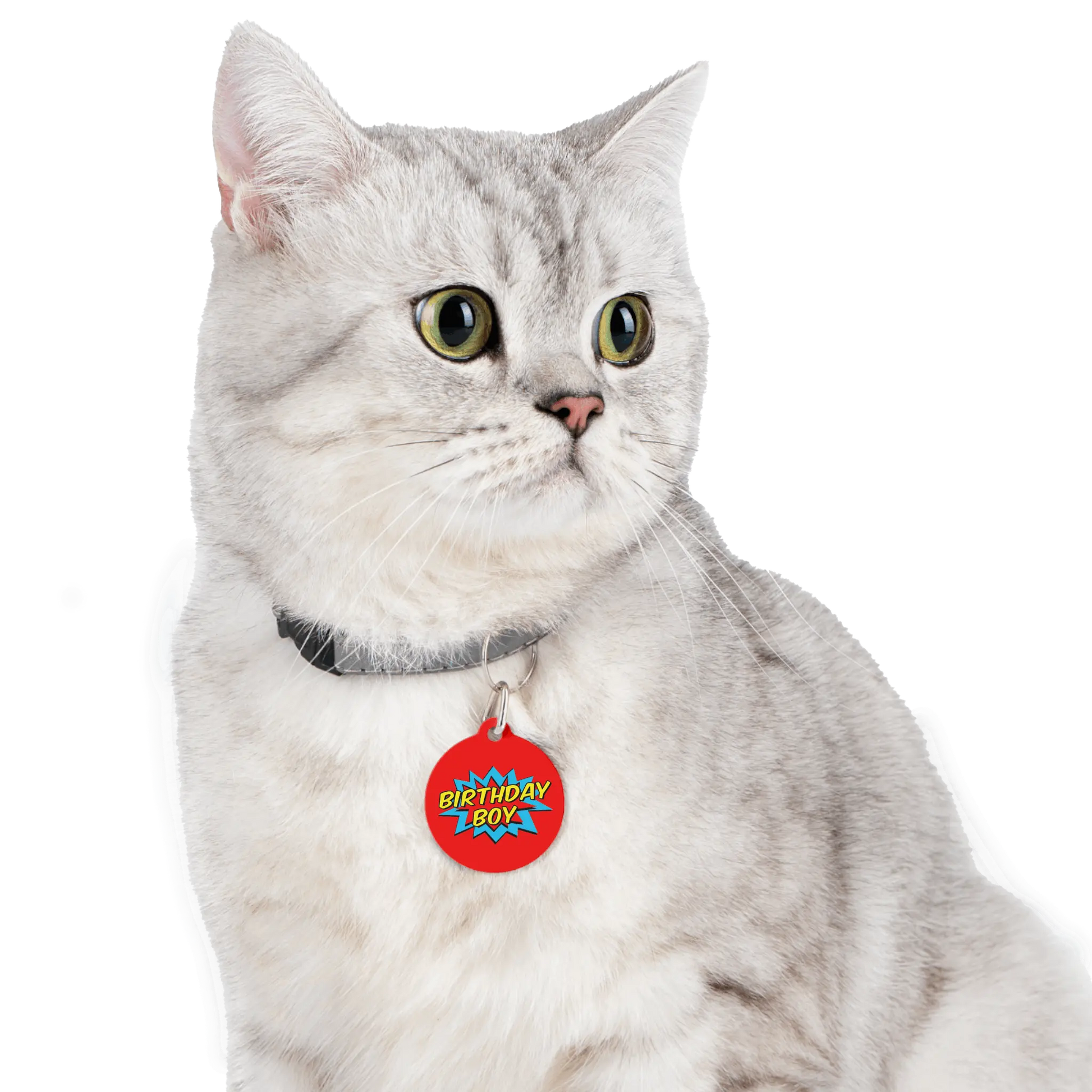 BIRTHDAY BOY Pet Tag - Premium Pet Tag from The Wishful Fish - Just $16! Shop now at The Wishful Fish