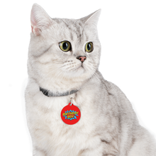 Load image into Gallery viewer, BIRTHDAY BOY Pet Tag - Premium Pet Tag from The Wishful Fish - Just $16! Shop now at The Wishful Fish
