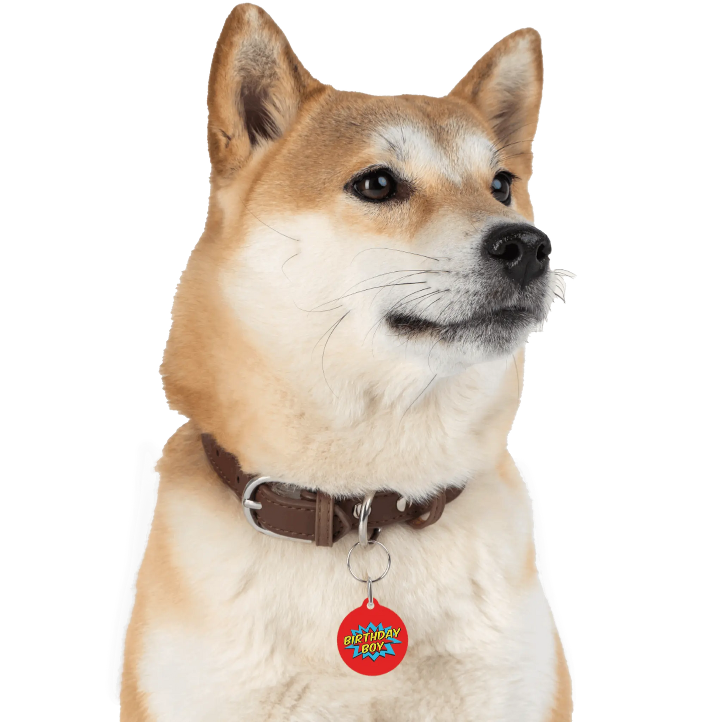 BIRTHDAY BOY Pet Tag - Premium Pet Tag from The Wishful Fish - Just $16! Shop now at The Wishful Fish