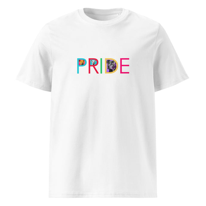 COLORFUL PRIDE T Shirt - Premium T Shirt from The Wishful Fish - Just $34! Shop now at The Wishful Fish