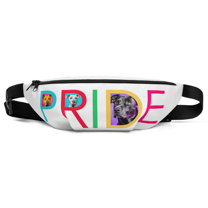 Colorful Pride Fanny Pack - Premium Fanny Pack from The Wishful Fish - Just $36! Shop now at The Wishful Fish