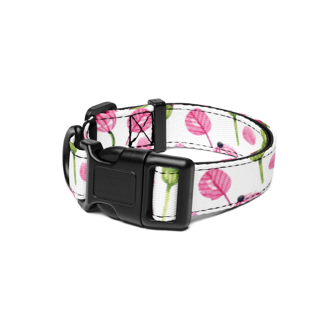 FLOWERS Cat or Dog Pet collar - Premium Pet Collar from The Wishful Fish - Just $21! Shop now at The Wishful Fish