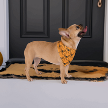 Load image into Gallery viewer, HALLOWEEN SPIDERS Pet Bandana - Premium Pet Bandana from The Wishful Fish - Just $22! Shop now at The Wishful Fish
