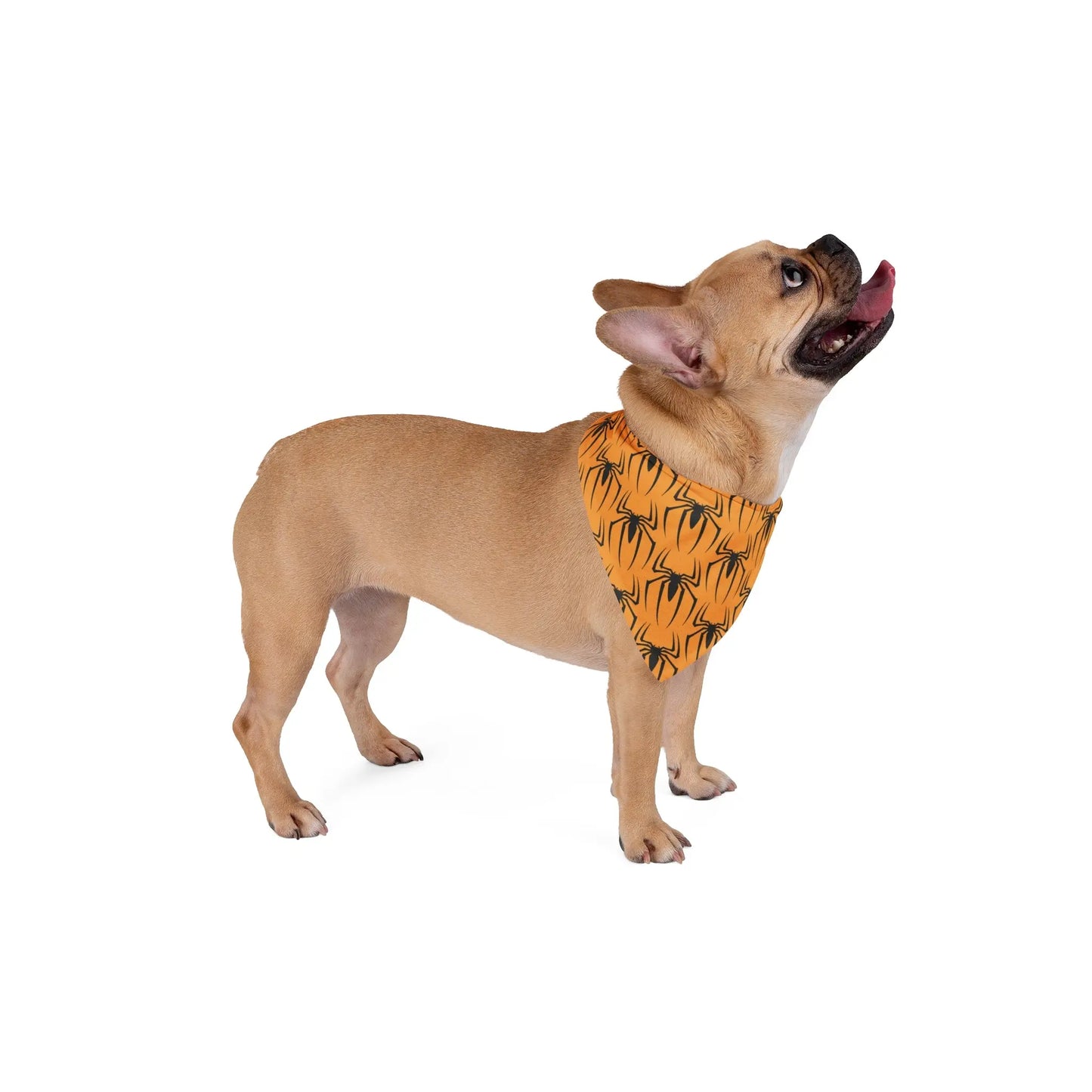 HALLOWEEN SPIDERS Pet Bandana - Premium Pet Bandana from The Wishful Fish - Just $22! Shop now at The Wishful Fish