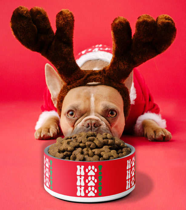 HO! HO! HO! Christmas Pet Bowl - Premium Pet Bowl from The Wishful Fish - Just $37! Shop now at The Wishful Fish