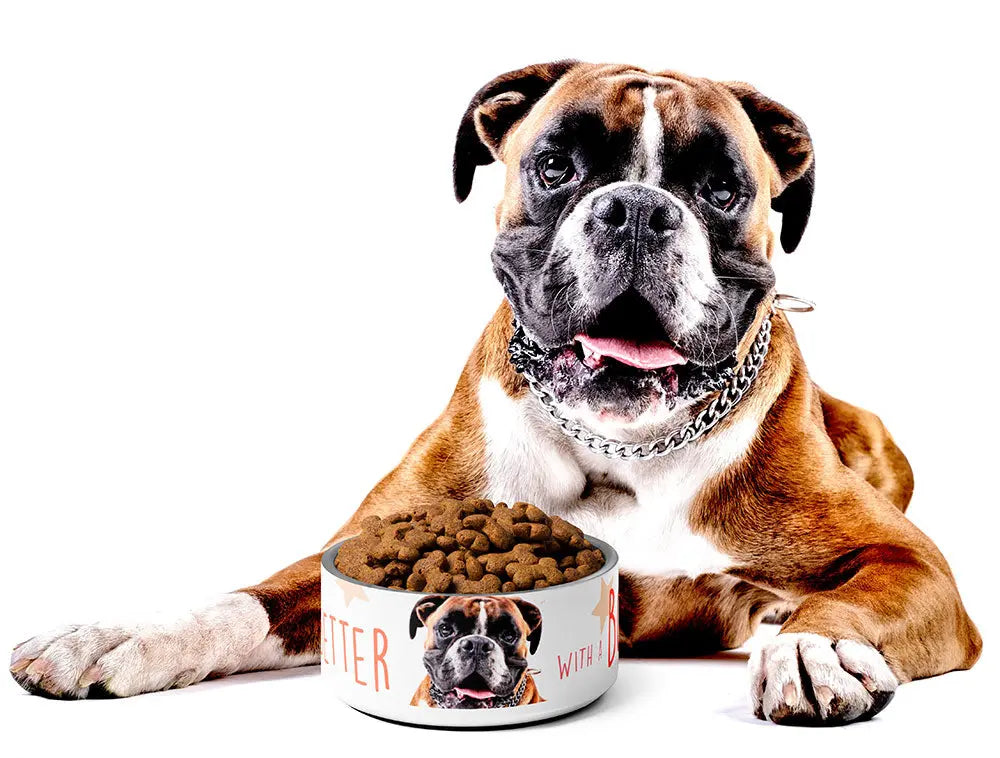 LIFE IS BETTER BOXER Pet Bowl - Premium Pet Bowl from The Wishful Fish - Just $37! Shop now at The Wishful Fish