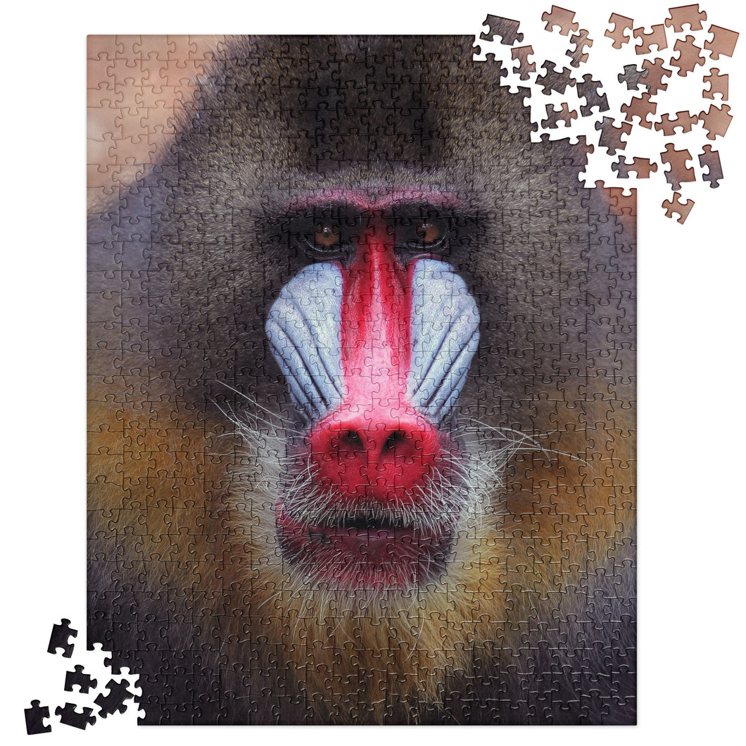 MANDRIL MONKEY Jigsaw Puzzle - Premium Jigsaw Puzzle from The Wishful Fish - Just $38! Shop now at The Wishful Fish