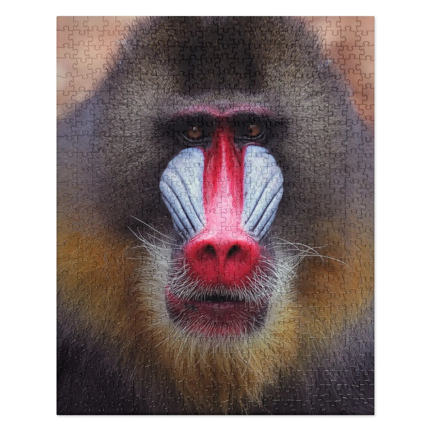 MANDRIL MONKEY Jigsaw Puzzle - Premium Jigsaw Puzzle from The Wishful Fish - Just $38! Shop now at The Wishful Fish