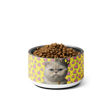 Load image into Gallery viewer, PRINCESS KITTY Pet Bowl - Premium Pet Bowl from The Wishful Fish - Just $37! Shop now at The Wishful Fish
