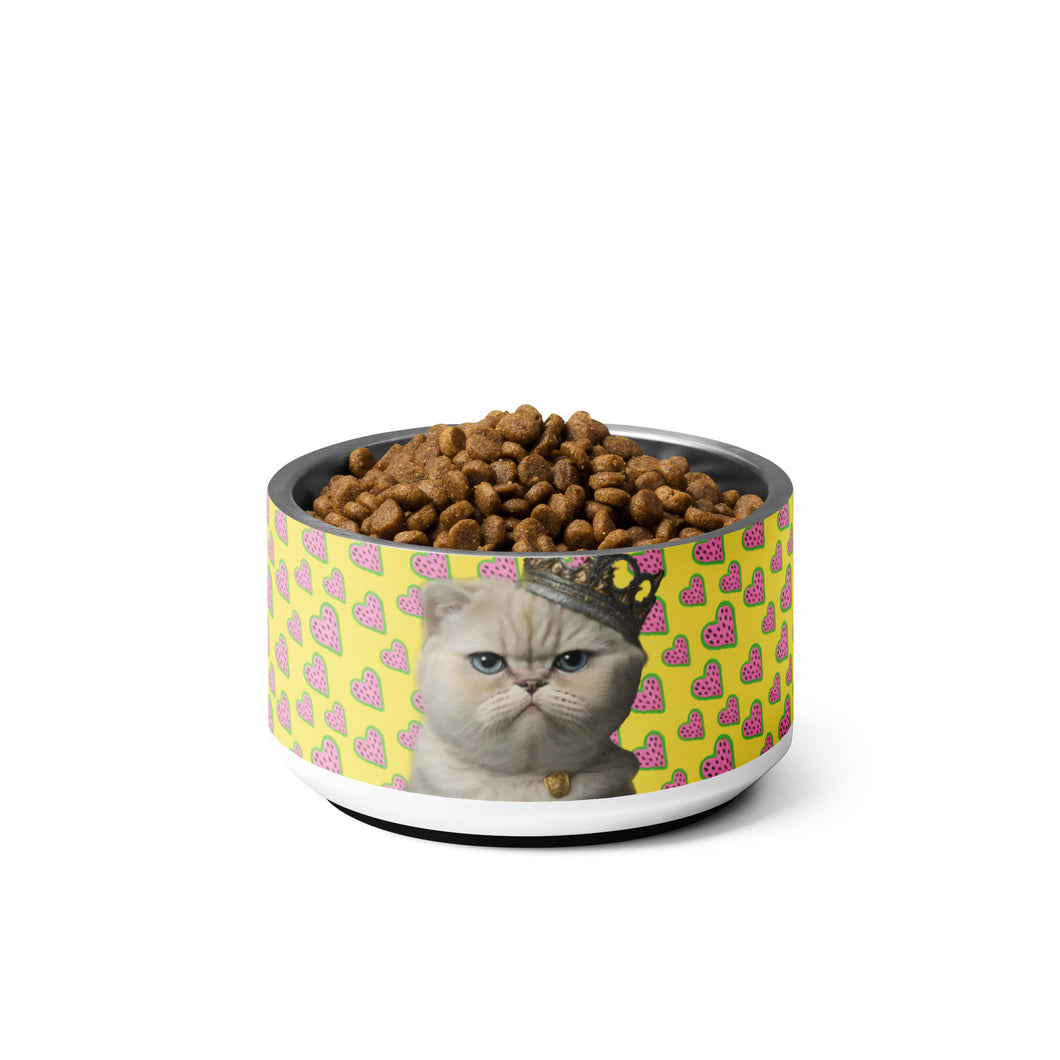 PRINCESS KITTY Pet Bowl - Premium Pet Bowl from The Wishful Fish - Just $37! Shop now at The Wishful Fish