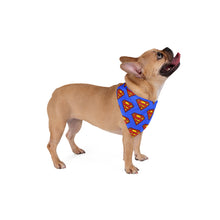 Load image into Gallery viewer, SUPER MAN Pet Bandana - Premium Pet Bandana from The Wishful Fish - Just $22! Shop now at The Wishful Fish
