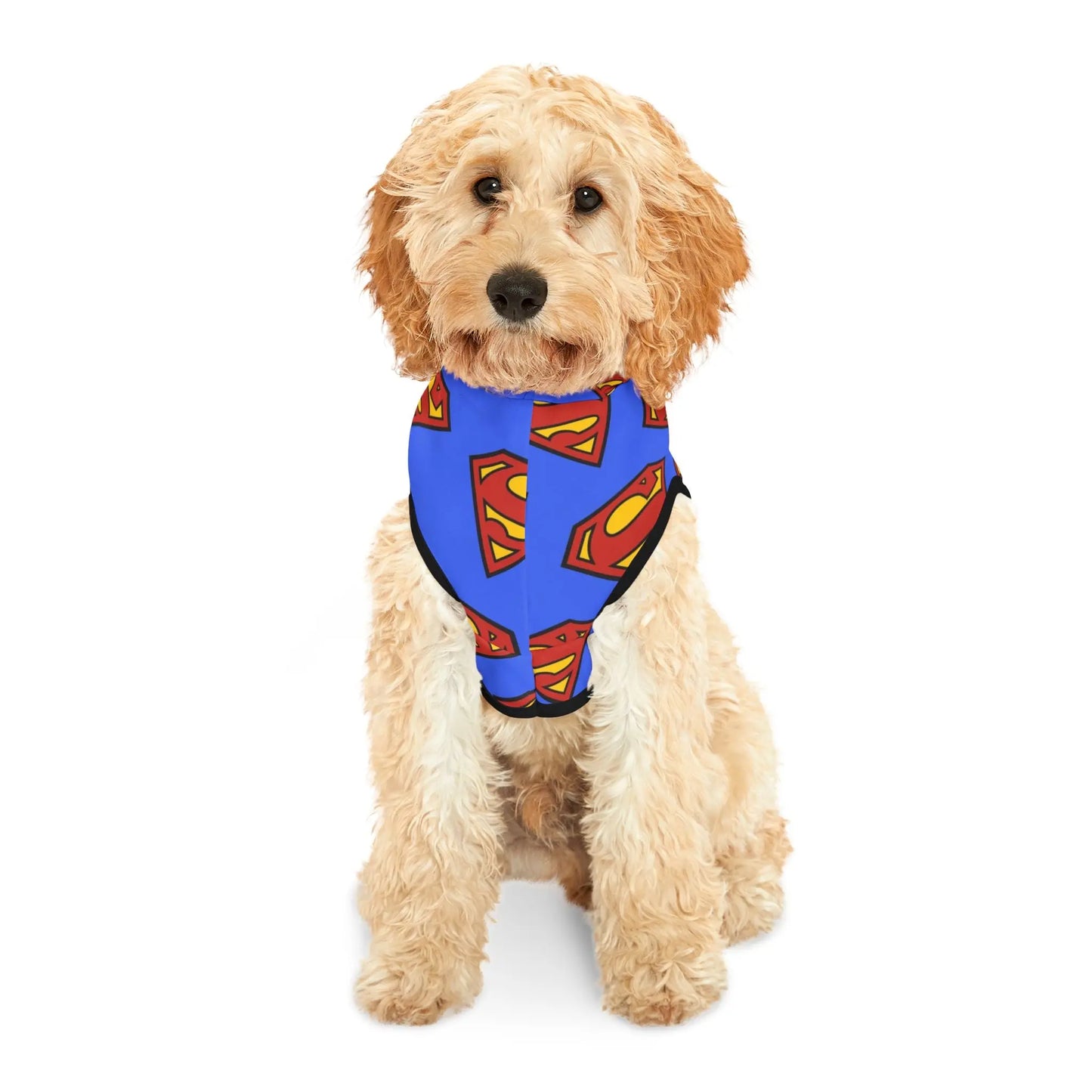 SUPERMAN Pet Hoodie - Premium Pet Hoodie from The Wishful Fish - Just $33! Shop now at The Wishful Fish