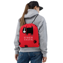 Load image into Gallery viewer, &quot;Best Friends Are The Ones With Paws&quot; Drawstring Bag | Back View Lifestyle | 15&quot; x 17&quot; | Shop The Wishful Fish

