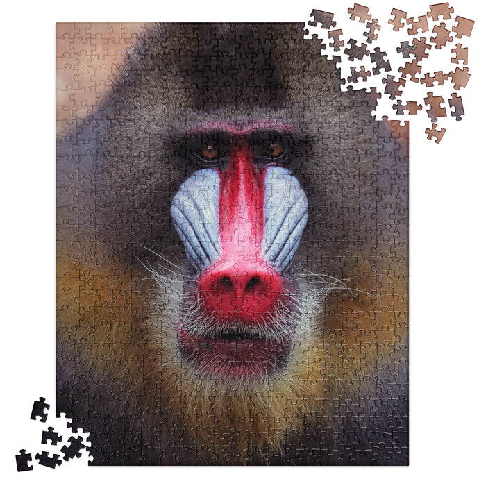 Mandril Monkey Safari Jigsaw Puzzle + 520 Pieces | Front View | The Wishful Fish