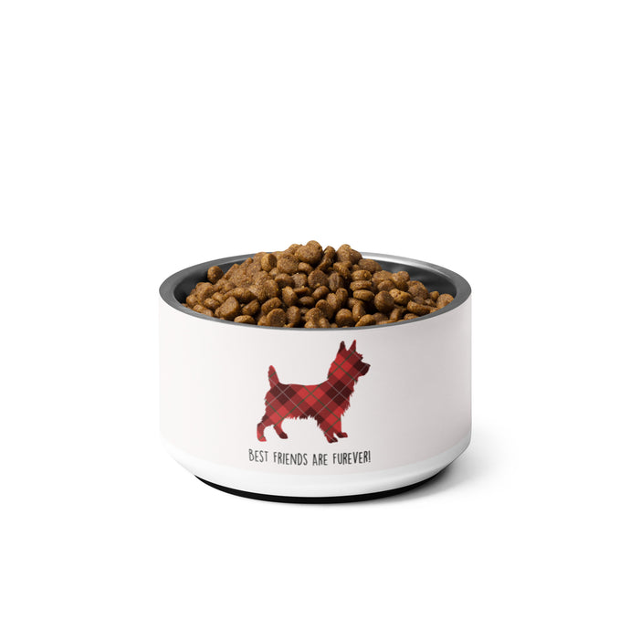 Best Friends Are Furever Pet Bowl | 18 oz | Front View | The Wishful Fish Shop
