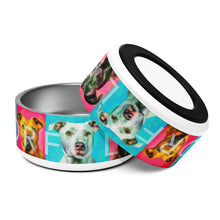 Load image into Gallery viewer, Colorful Pride Pet Bowl | 32 oz | Front &amp; Bottom View | The Wishful Fish
